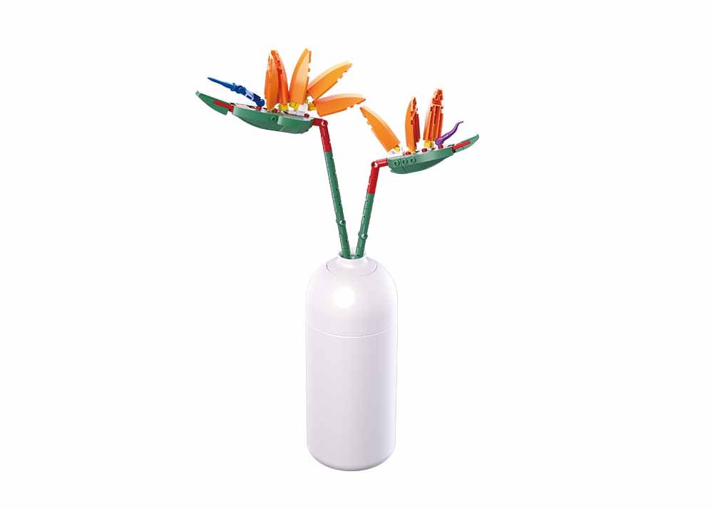 M38-B1101-01 Strelitzia Reginae Aiton Sluban