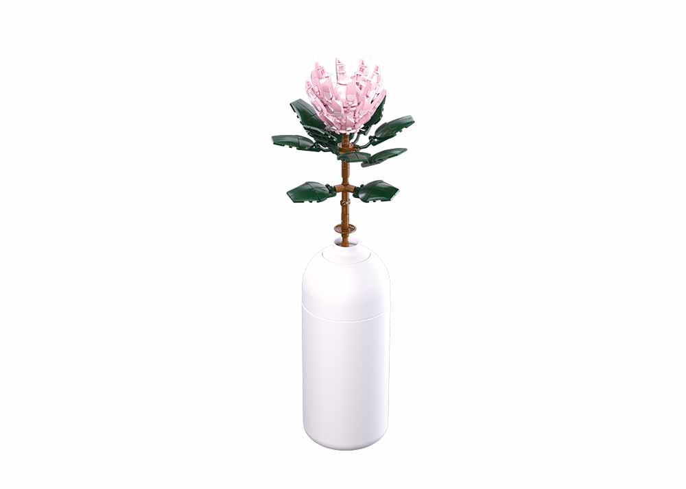 M38-B1101-03 Protea cynaroides Sluban